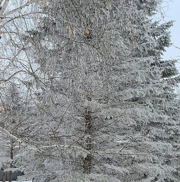 Meet your Posher, Shana - Picture 1 of 1